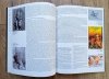 Michelangelo. Katalog wystawy w Arsenale Muzeum Książąt Czartoryskich